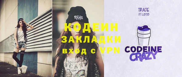 spice Богородицк