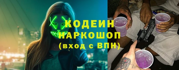spice Богородицк