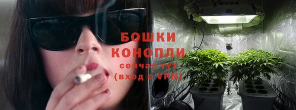 spice Богородицк