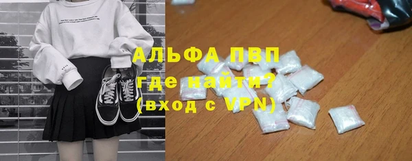 spice Богородицк