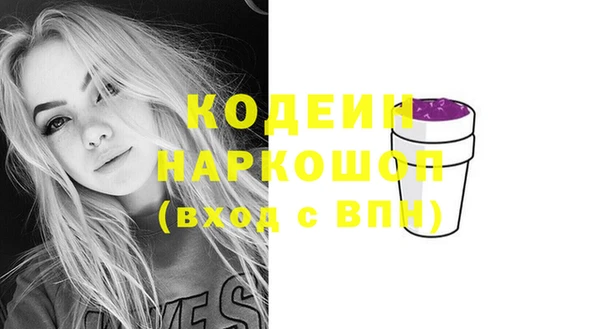 ECSTASY Бородино