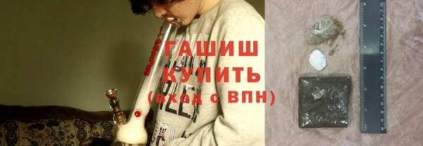 spice Богородицк
