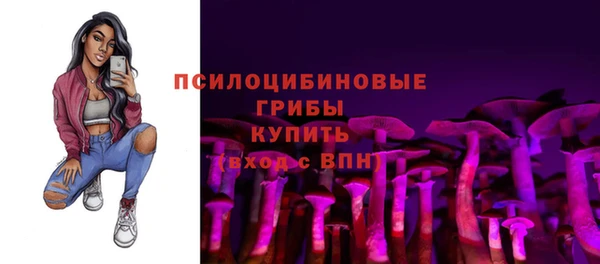 ешки Бугульма