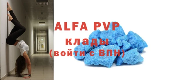 spice Богородицк