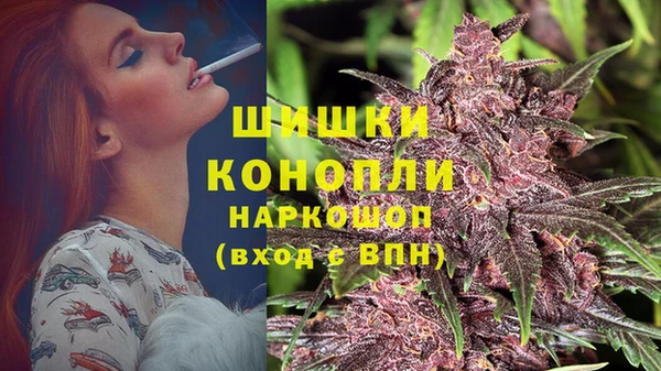 винт Бронницы