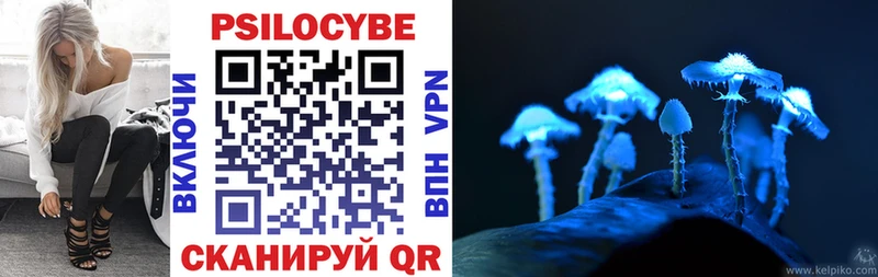 купить наркотики сайты  Наволоки  Галлюциногенные грибы прущие грибы 