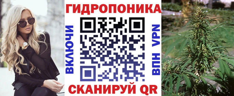 Марихуана марихуана  Наволоки 